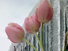 Сосульки на крышах домов: красивые фотки и опасность для земляков