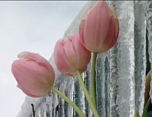 Сосульки на крышах домов: красивые фотки и опасность для земляков