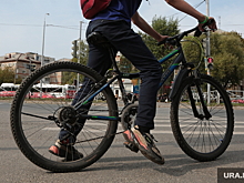 В Кургане велосипедист сбил пешехода и попал под суд