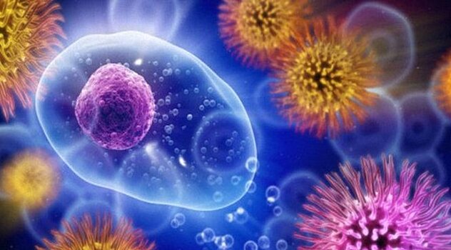 Клетки иммунитета перенастроят для борьбы с неизлечимыми недугами