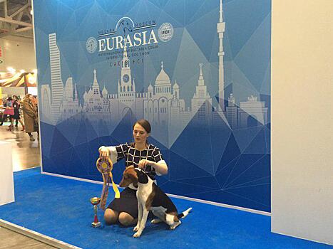 Интернациональная выставка собак «Евразия‐2019» открылась в Красногорске