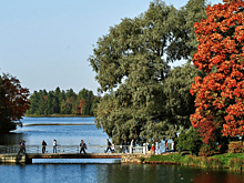 В Общественной палате назвали главную проблему нацпроекта «Экология»