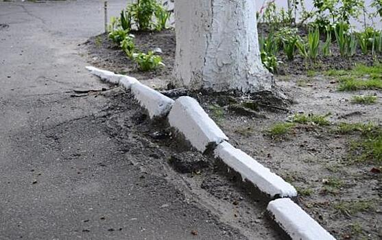 Побелка бордюров - это не только красиво, но и противозаконно