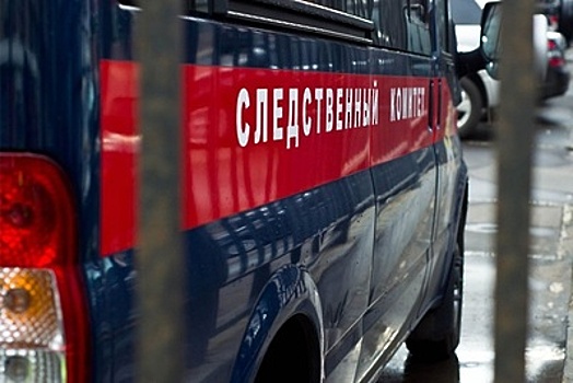 Уголовное дело возбудили по факту обнаружения тел двух мужчин в новой Москве