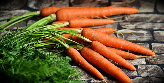 Лечение морковью: при язве, простуде, геморрое