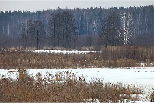 Росприроднадзор по ЦФО начал проверку парка «Лосиный остров» в Московском регионе