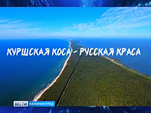 В «Янтарь-Холле» состоится открытый показ короткометражного фильма «Куршская коса — русская краса»