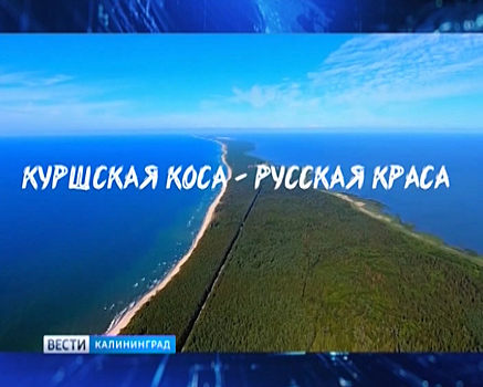 В «Янтарь-Холле» состоится открытый показ короткометражного фильма «Куршская коса — русская краса»