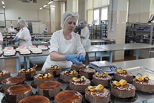 Делегация Мордовии познакомилась с работой самарских предприятий и инвестплощадок