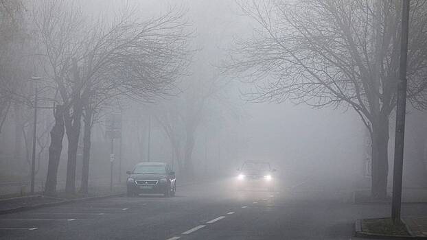 Не более 40 километров в час: как передвигаться на автомобиле в туман