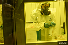 The Guardian: ученые нашли зомби-вирусы и готовятся к новой пандемии