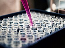 Заболеваемость сифилисом в США увеличилась более чем на 70% за пять лет