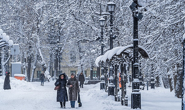Выпавший в Москве снег растает через несколько дней
