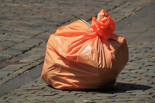 Власти Ногинского района Подмосковья сняли режим ЧС, введенный из-за проблем с мусором