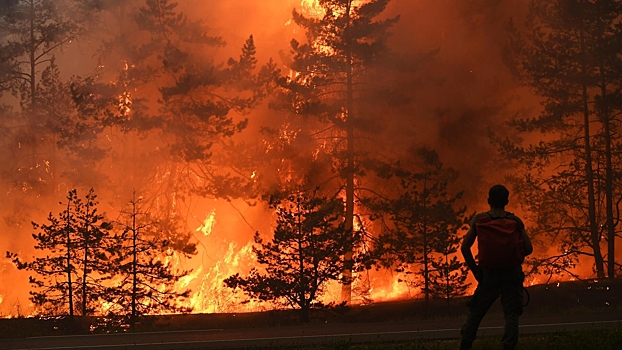 В Братском районе Иркутской области ввели режим ЧС из-за пожара