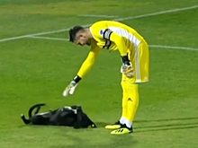 «Внеплановый игрок»: пес остановил футбольный матч в Грузии