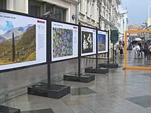 Уникальные ракурсы природы: выставка National Geographic открылась в центре Москвы