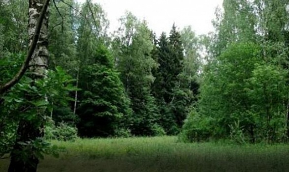 В Нижегородской области запустят пилотный экологический проект