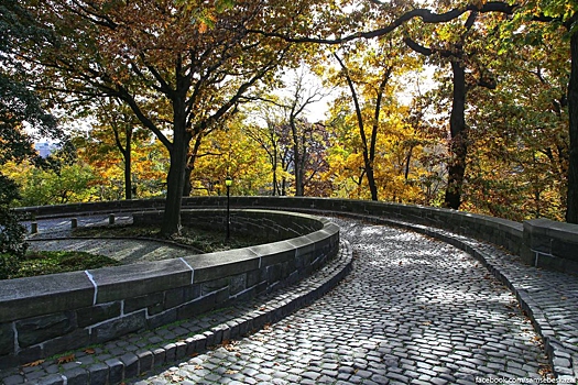 Нью-Йорк в ноябре: пейзажи и лица от Бронкса до Бруклина