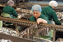 Калининградская область заняла первое место по производству шпрот в РФ