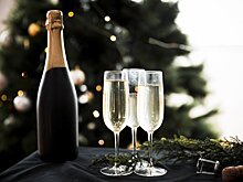 Как выбрать шампанское на Новый год?