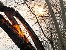 В Забайкалье тушат лесной пожар в районе поселка Дарасун