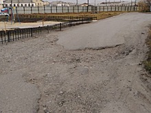 Власти Кургана пообещали жителям топиарий вместо ремонта дороги