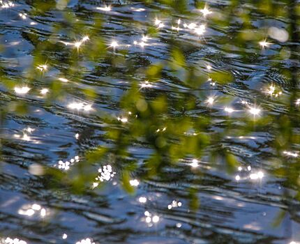 Экоцентры приглашают горожан больше узнать про озеро Байкал