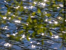 Экоцентры приглашают горожан больше узнать про озеро Байкал