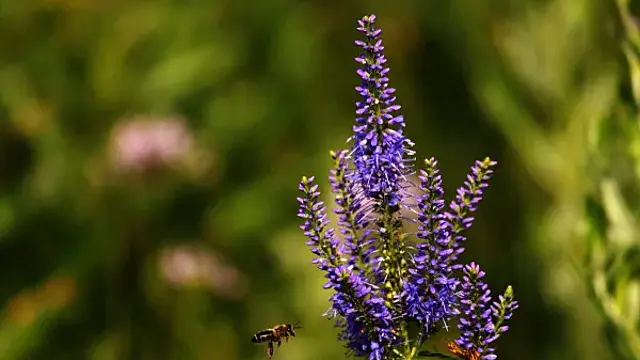 Народные приметы на 26 апреля 2025 года: что нельзя делать в этот день