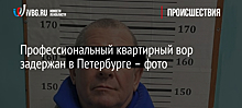 Вора, промышлявшего кражами имущества из арендных квартир, задержали полицейские Санкт-Петербурга