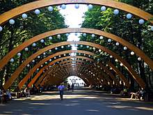 Пандемия COVID-19 сделала лесопарки привлекательнее для москвичей