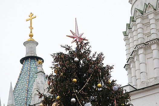 Главным новогодним деревом станет елка из Подмосковья