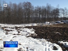 Жители Октябрьского района Уфы обнаружили на месте любимого парка вырубленную поляну и пеньки