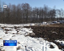 Жители Октябрьского района Уфы обнаружили на месте любимого парка вырубленную поляну и пеньки