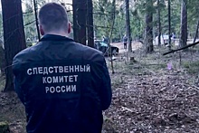 В МВД установили личность убийцы полицейского в Подмосковье