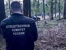 В МВД установили личность убийцы полицейского в Подмосковье