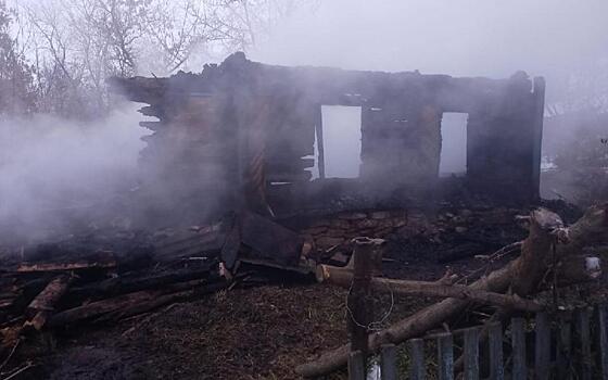Опубликованы подробности трагического пожара в Пронском районе