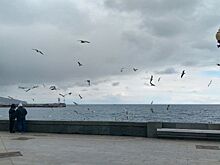 Власти Ялты планируют пересмотреть графики подачи воды
