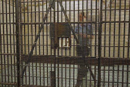 Бывшая надзирательница признала вину в романе с опасным заключенным