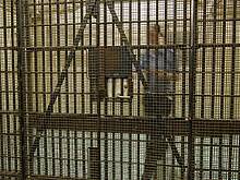 Бывшая надзирательница признала вину в романе с опасным заключенным