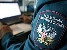 Число самозанятых в Красноярском крае превысило 40 тысяч
