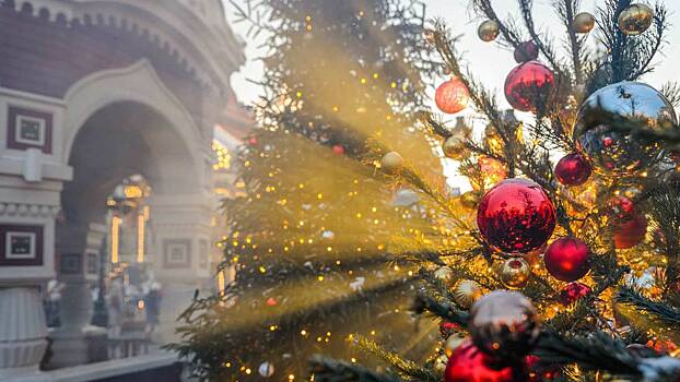 Кремль на Новый год украсит 95-летняя елка из Подмосковья