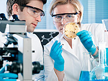 Как университеты РФ внедряются в мировые рейтинги