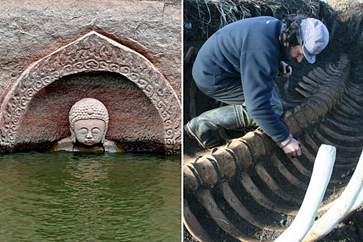 Наиболее значимые исторические находки, сделанные в 2017 году