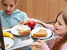 В Кемеровской области возбудили уголовное дело по факту заражения детей кишечной инфекцией в школьной столовой