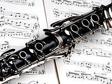 Юные музыканты из Ясенева Василиса Брайковская Василиса и Полина Мацкевич стали лауреатами Международного конкурса 