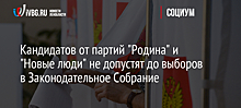 Кандидатов от партий "Родина" и "Новые люди", видимо, не допустят до выборов в Законодательное Собрание