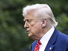 В НАТО решили не злить Трампа из-за Зеленского