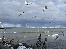 Очередная жертва шторма: сухогруз из Болгарии сел на мель в акватории Черного моря